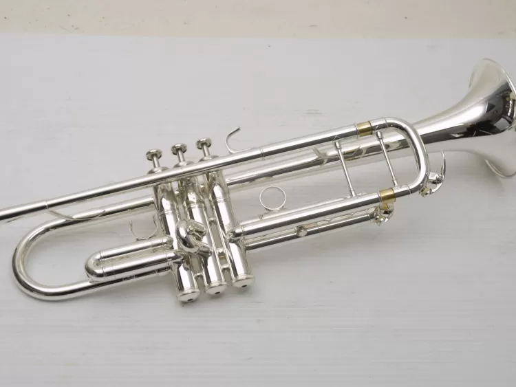 s55_0122_5.jpg.webp?itok=W7qUUPXG