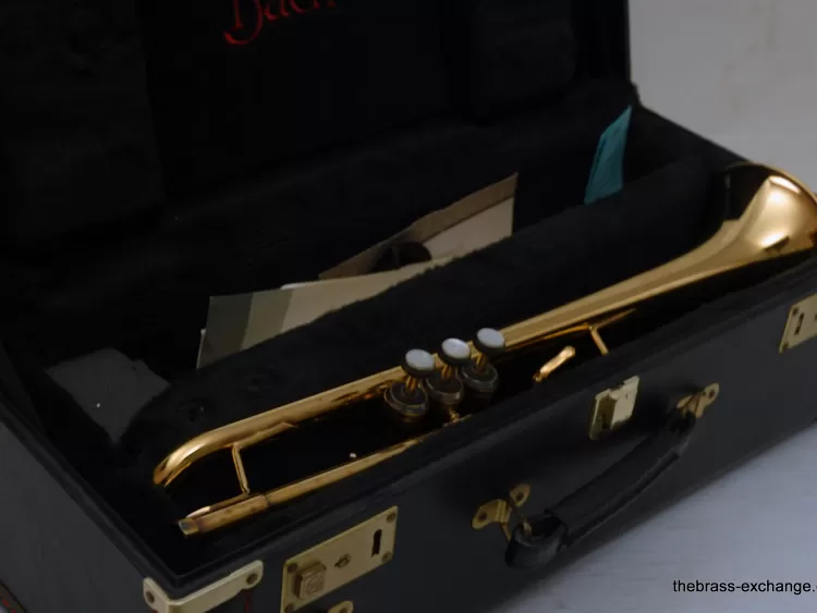 Bach Stradivarius 37 ML Trumpet | Archive of Sold